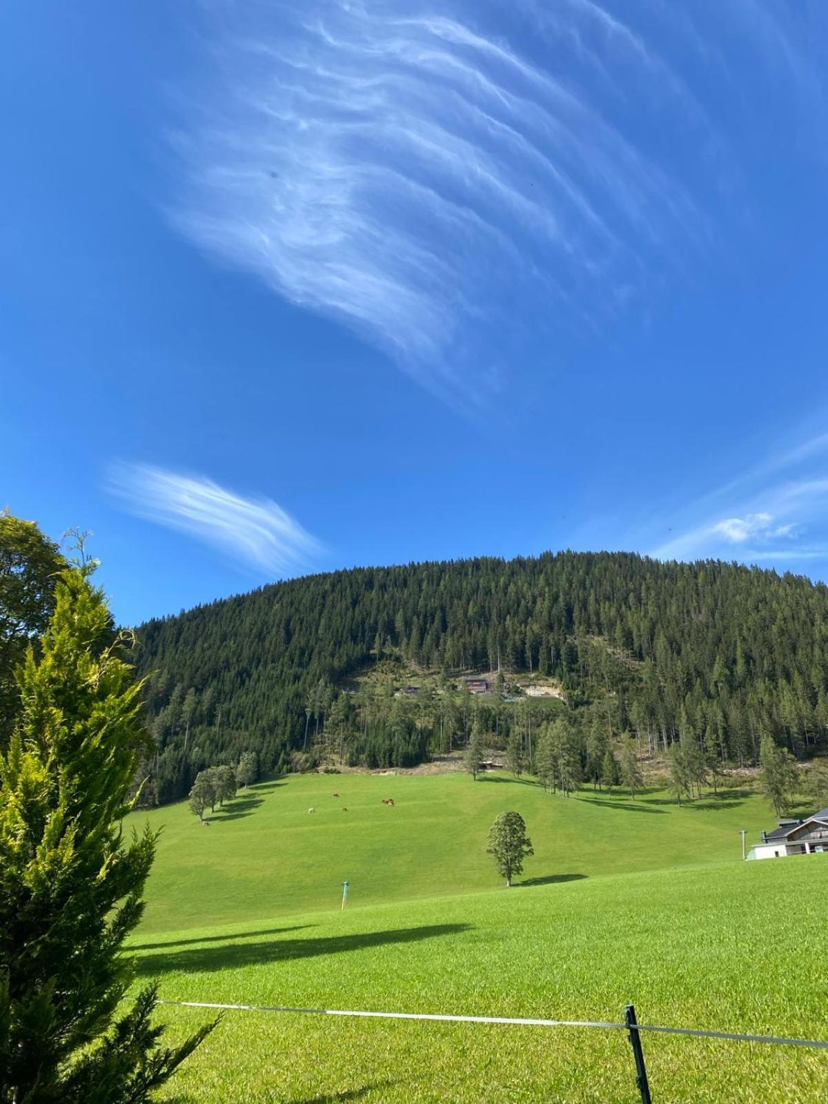 Club Villa Ramsau am Dachstein Bagian luar foto
